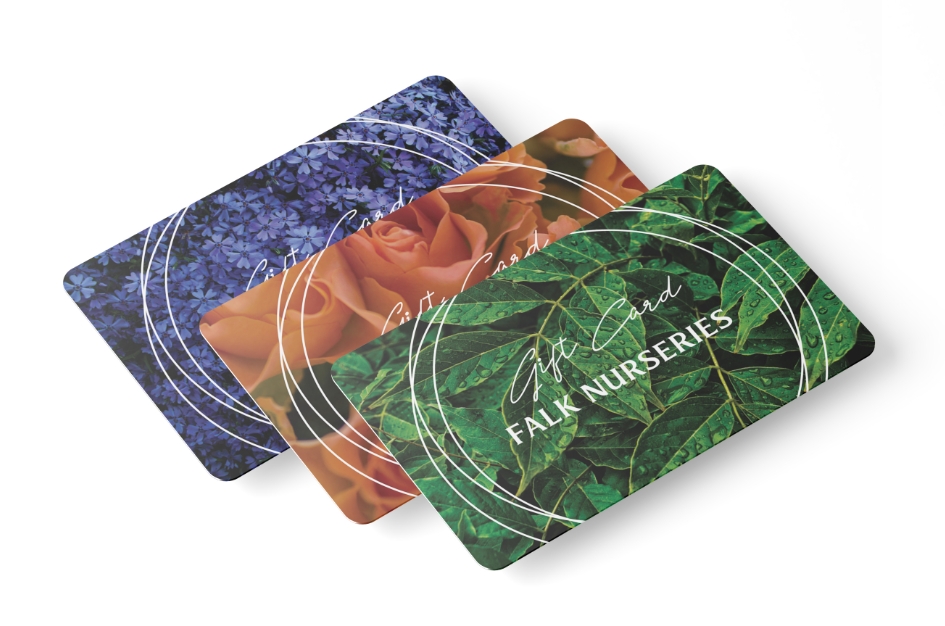 Gift Cards