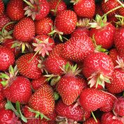 Strawberries 2