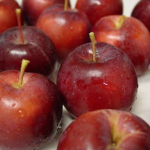 Apple Dexterjackson Aubin Nurseries