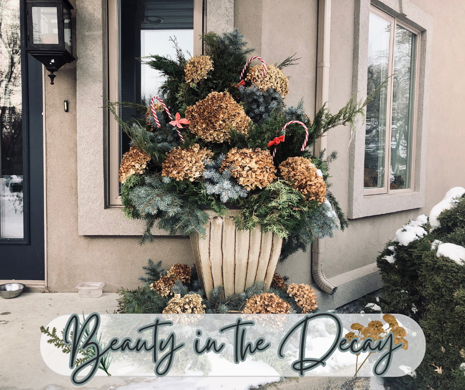 Beauty In The Decay Blog Photo