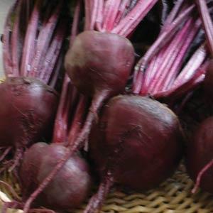 Beets Bull's Blood