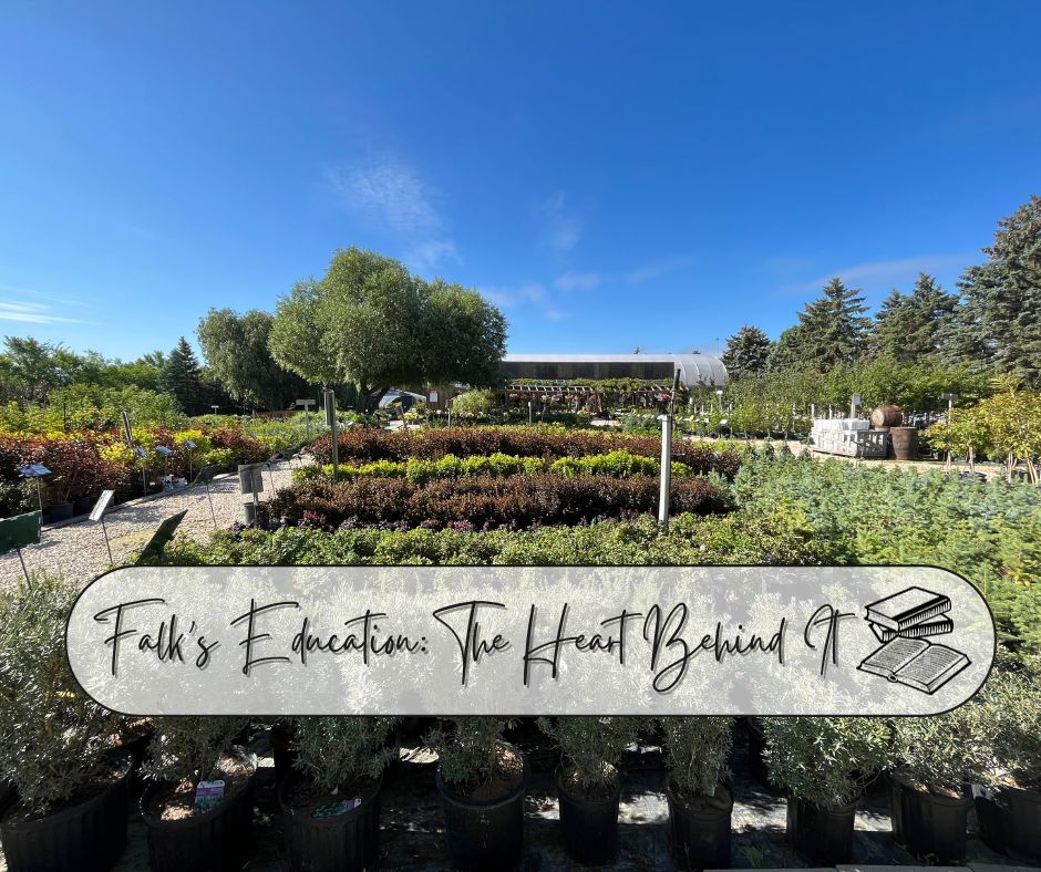 Falk’s Education The Heart Behind It Blog Photo