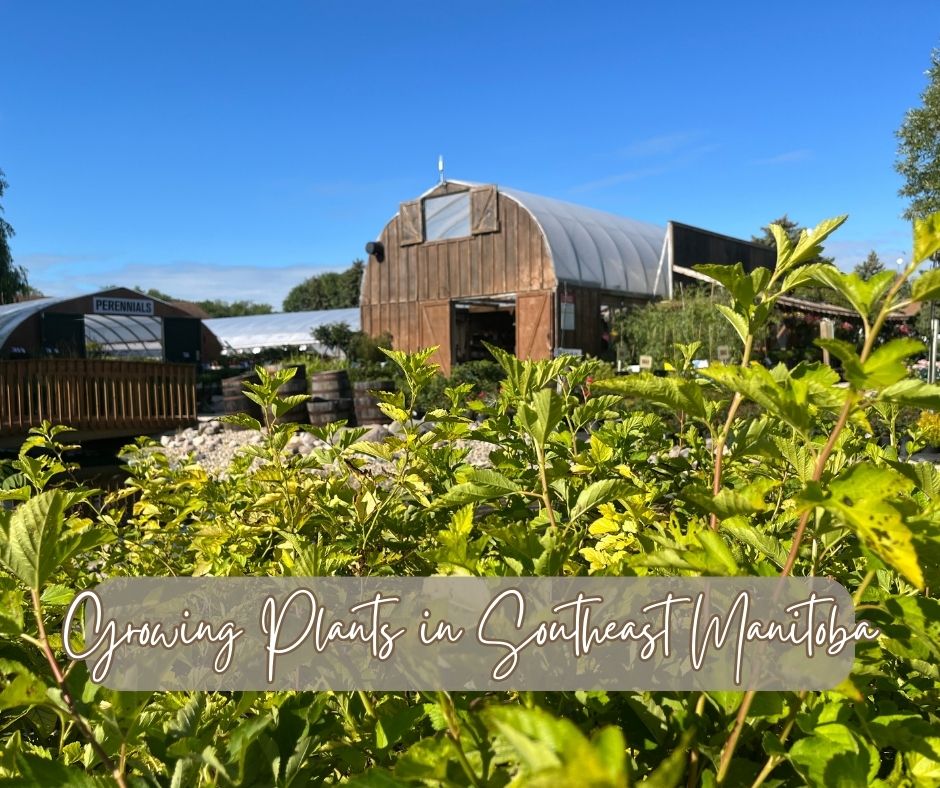 Growing Plants In Southeast Manitoba Blog Photo
