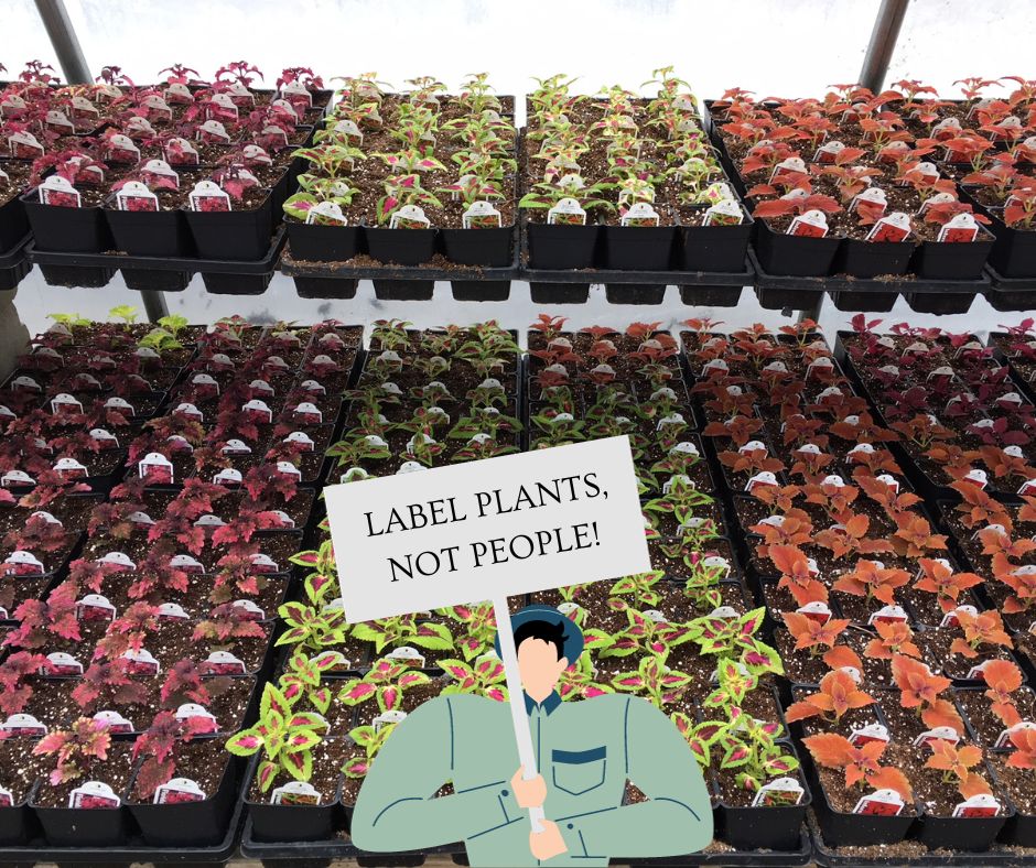 Labels Blog Photo