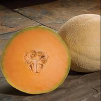 Melon Atlantis