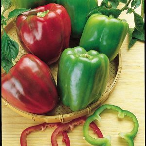 Pepper California Wonder 2