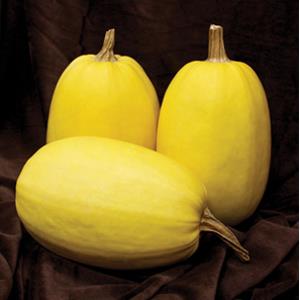 Squash Primavera