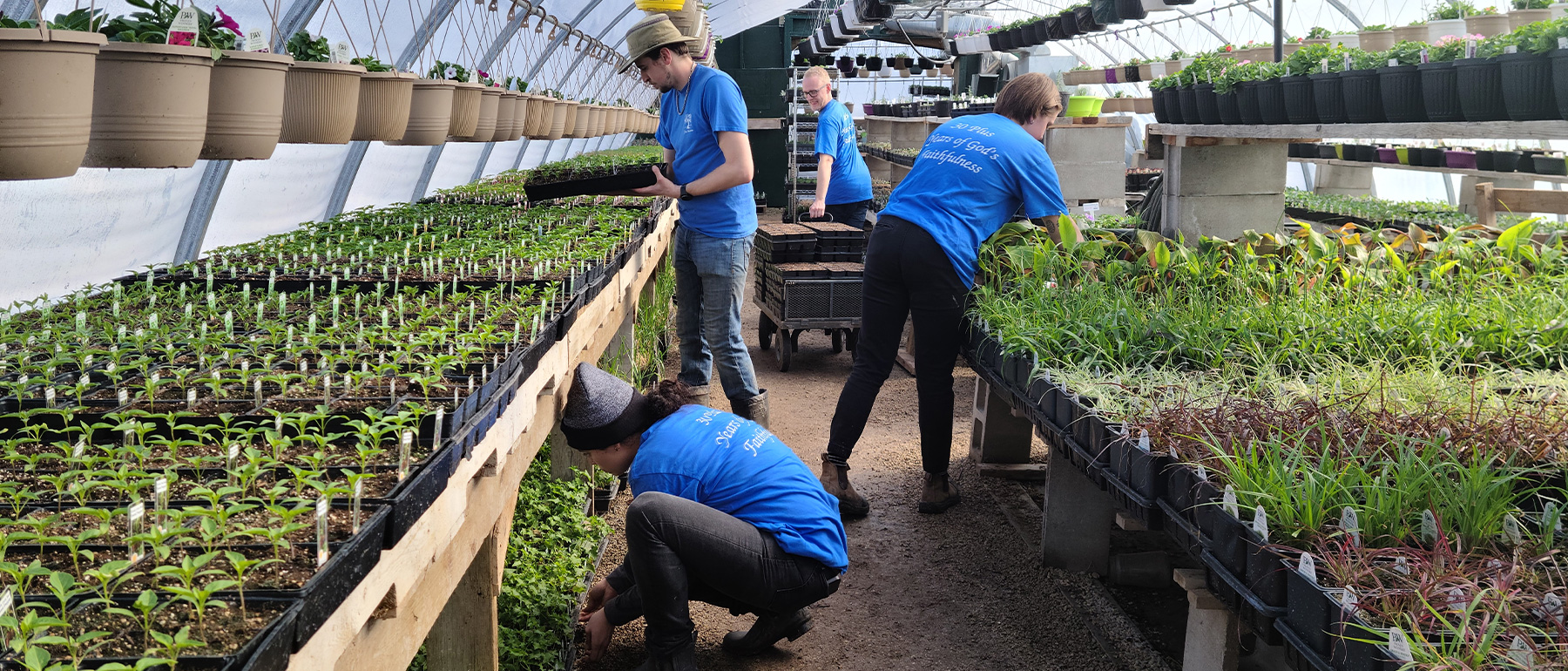 Greenhouse Team