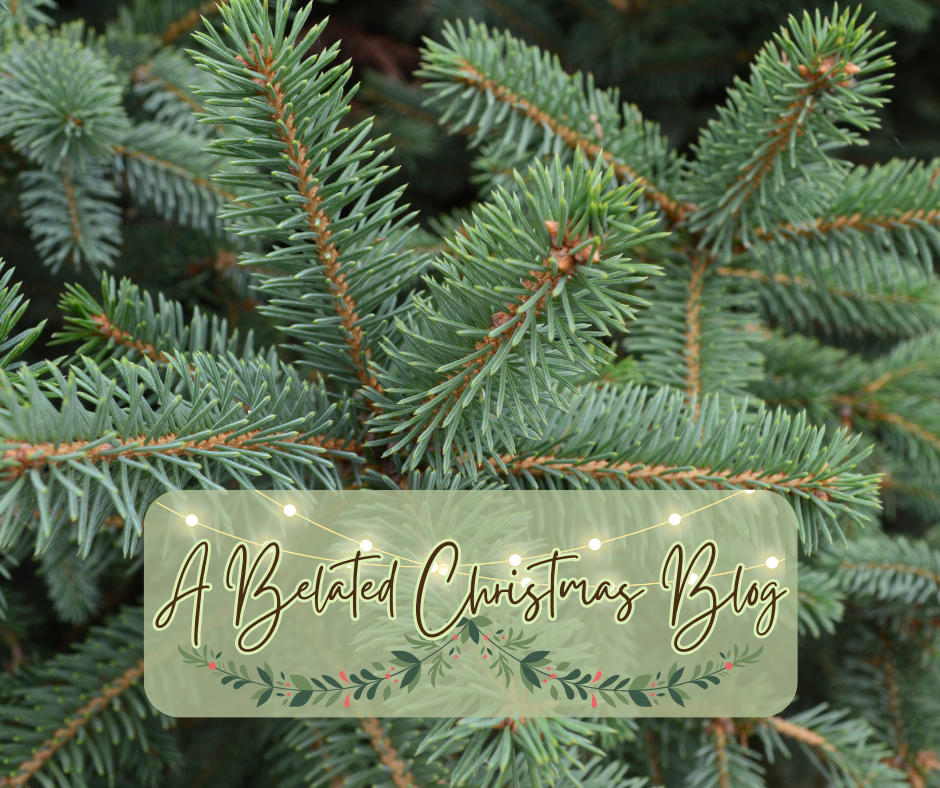 A Belated Christmas Blog