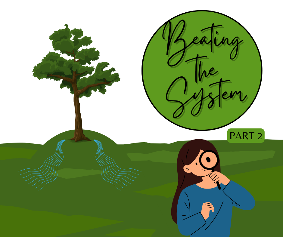 Beating The System Part 2