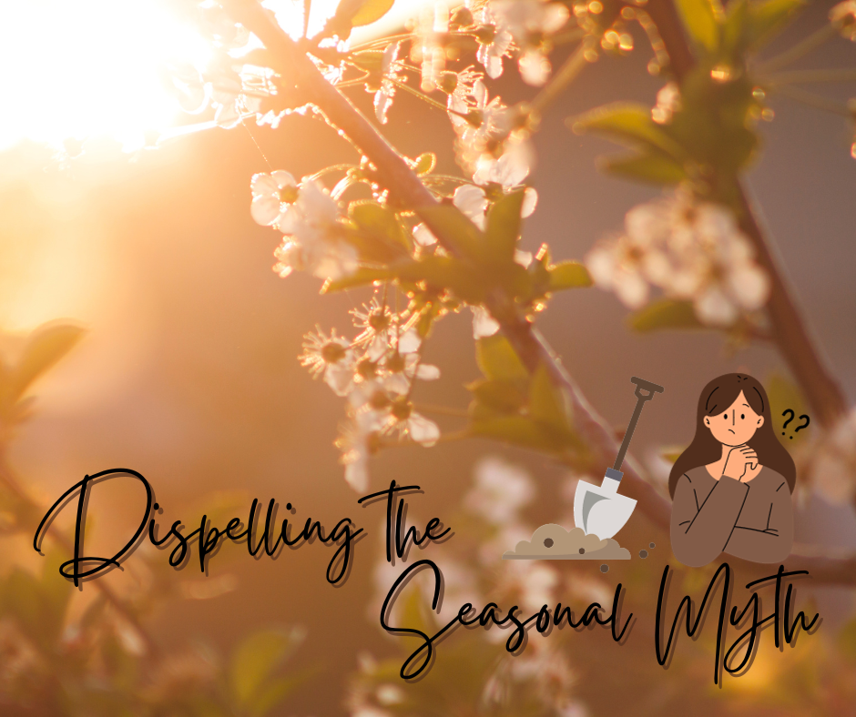 Dispelling The Seasonal Myth Blog Photo