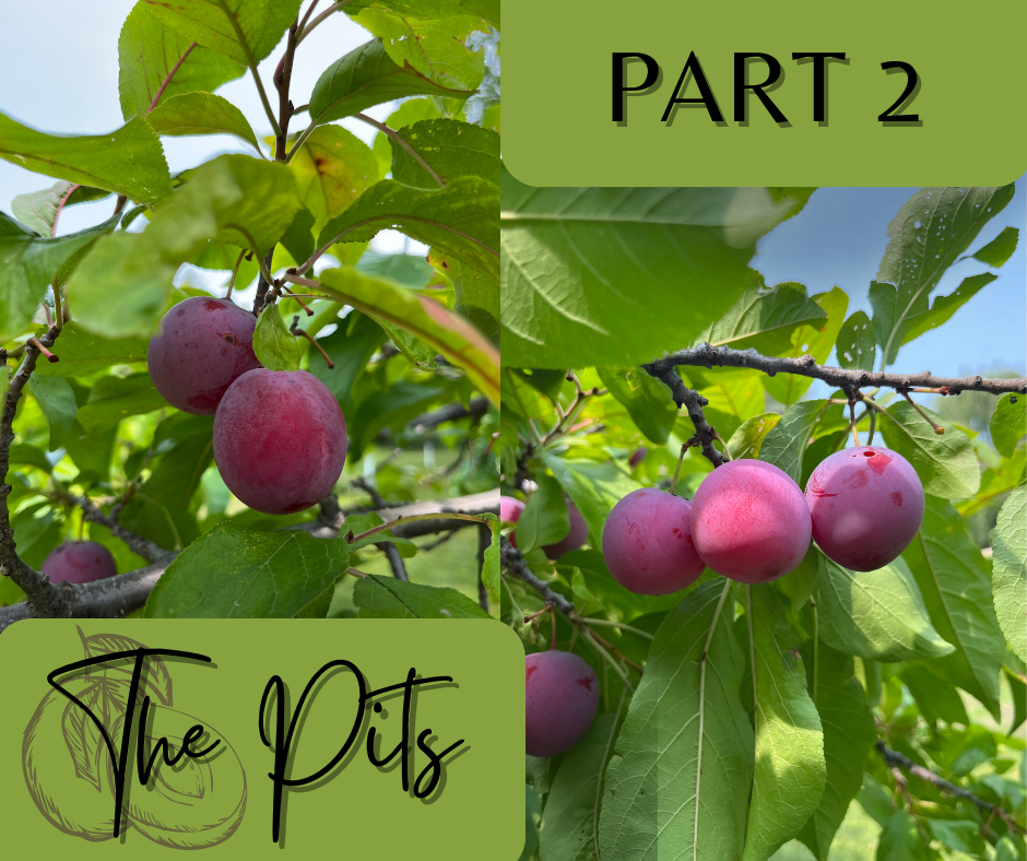 The Pits Part 2